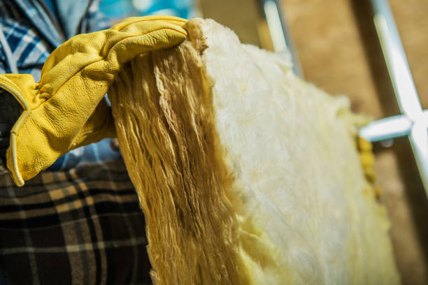 Best Professional Insulation Contractor  in Riverton, UT