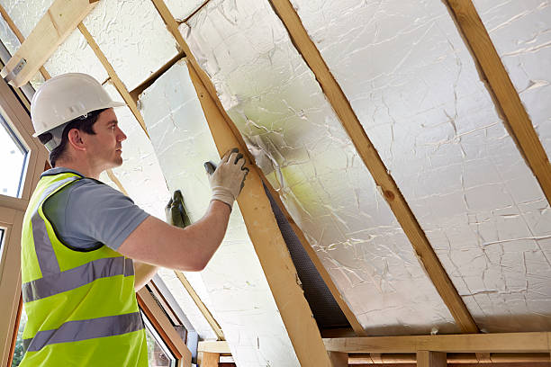 Best Insulation Repair Services  in Riverton, UT